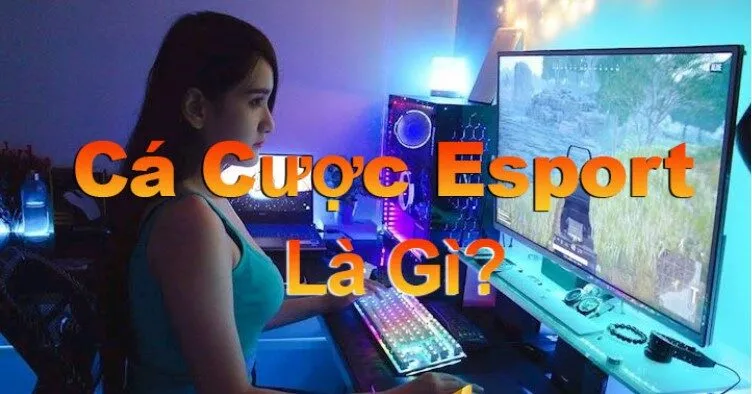 Giới thiệu khái quát đôi nét về cá cược Esports Giới thiệu khái quát đôi nét về cá cược Esports